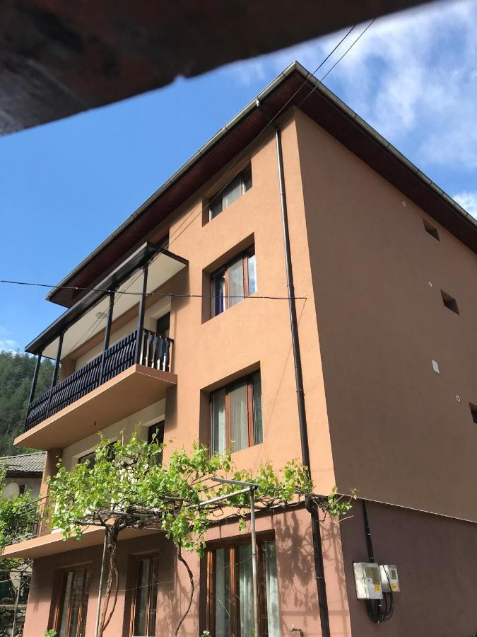 Viktoria Paradise Dövlen Dış mekan fotoğraf