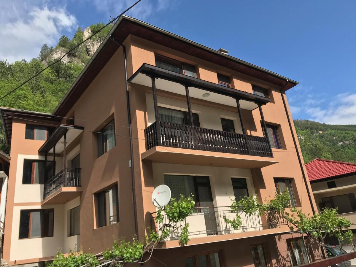 Viktoria Paradise Dövlen Dış mekan fotoğraf